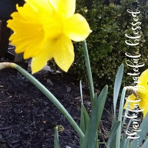 Meet your Posher, Paula